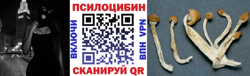 Псилоцибиновые грибы MAGIC MUSHROOMS  Алейск 
