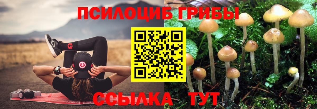 Галлюциногенные грибы MAGIC MUSHROOMS Алейск